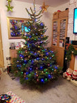 6ft Real Christmas Tree
