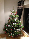 5ft Real Christmas Tree